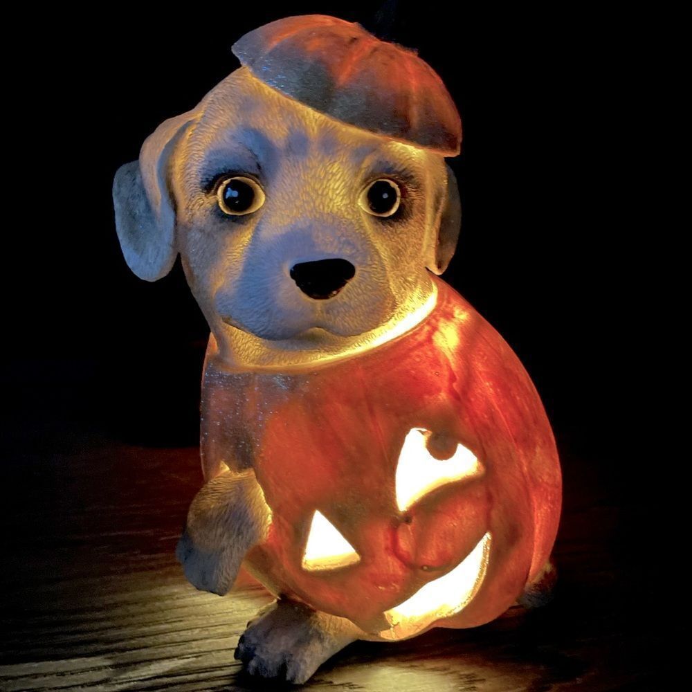 ASPCA Halloween Lighted Pumpkin Puppy Dog Figure Decor